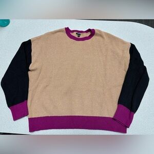 Express Tan/Black/Fushsia Relaxed Sweater Women’s Large